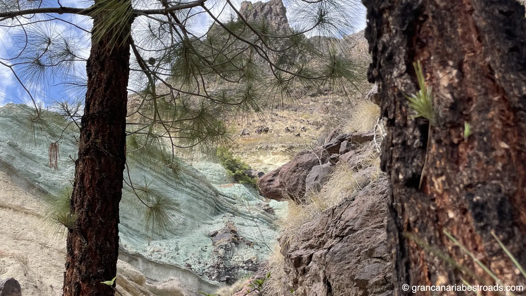 L'incredibile varietà dei colori di queste rocce