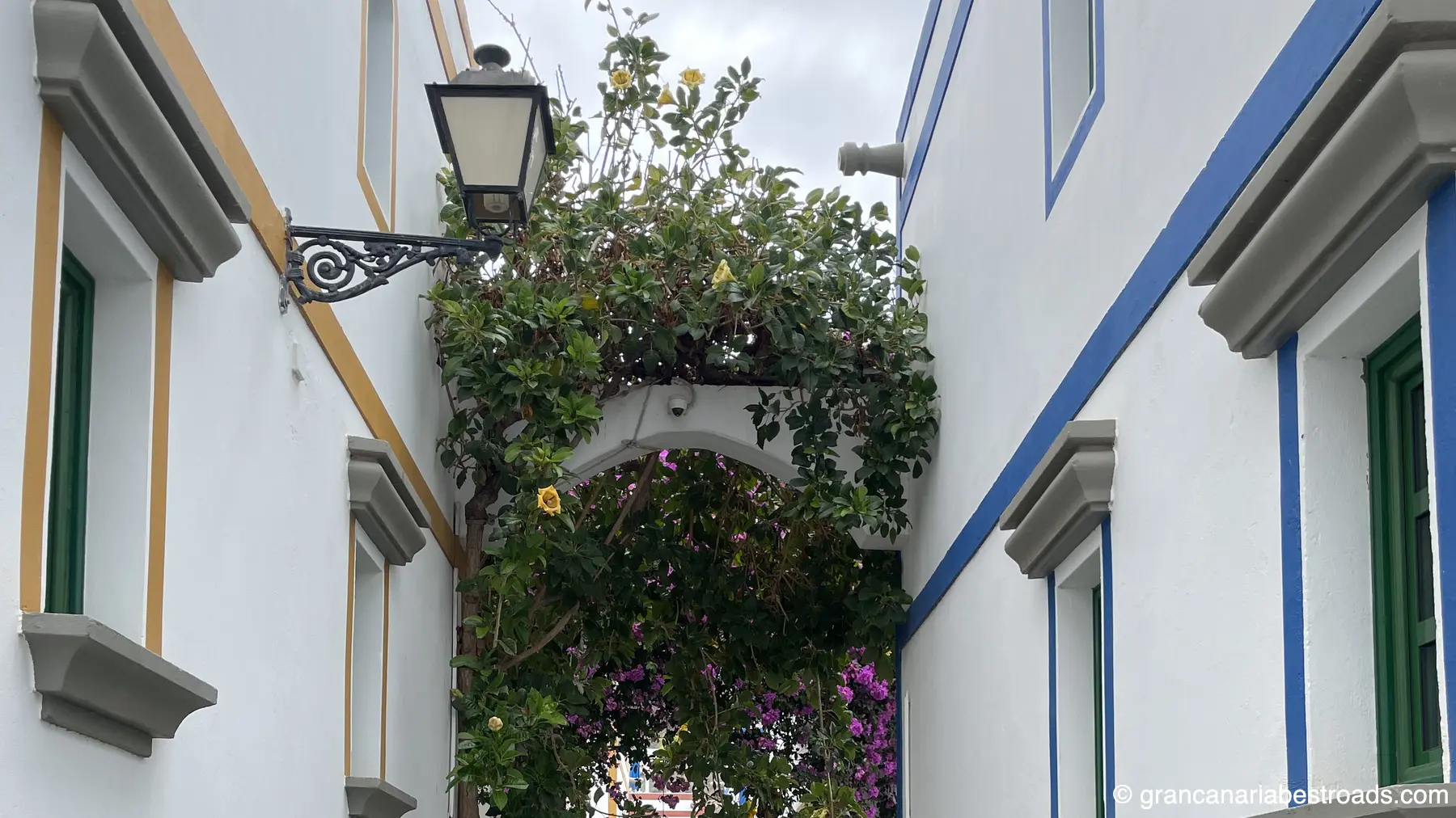 The typical houses and narrow streets