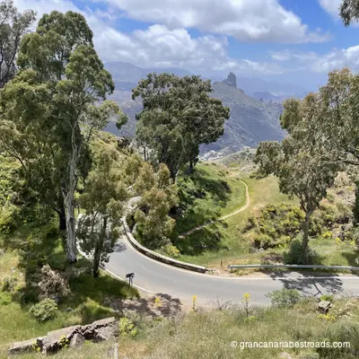GC 15: Close-up of curves and vegetation below Cruz de Tejeda 1