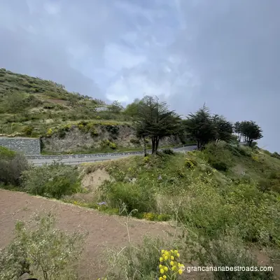 GC 15: Winding Road and Panoramic Views