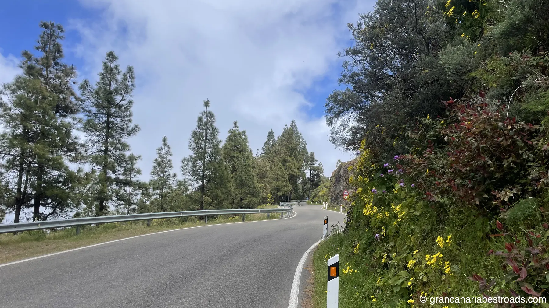GC 150: Close-up of curves and vegetation