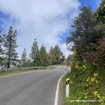 GC 150: Close-up of curves and vegetation