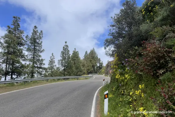 GC 150: Close-up of curves and vegetation