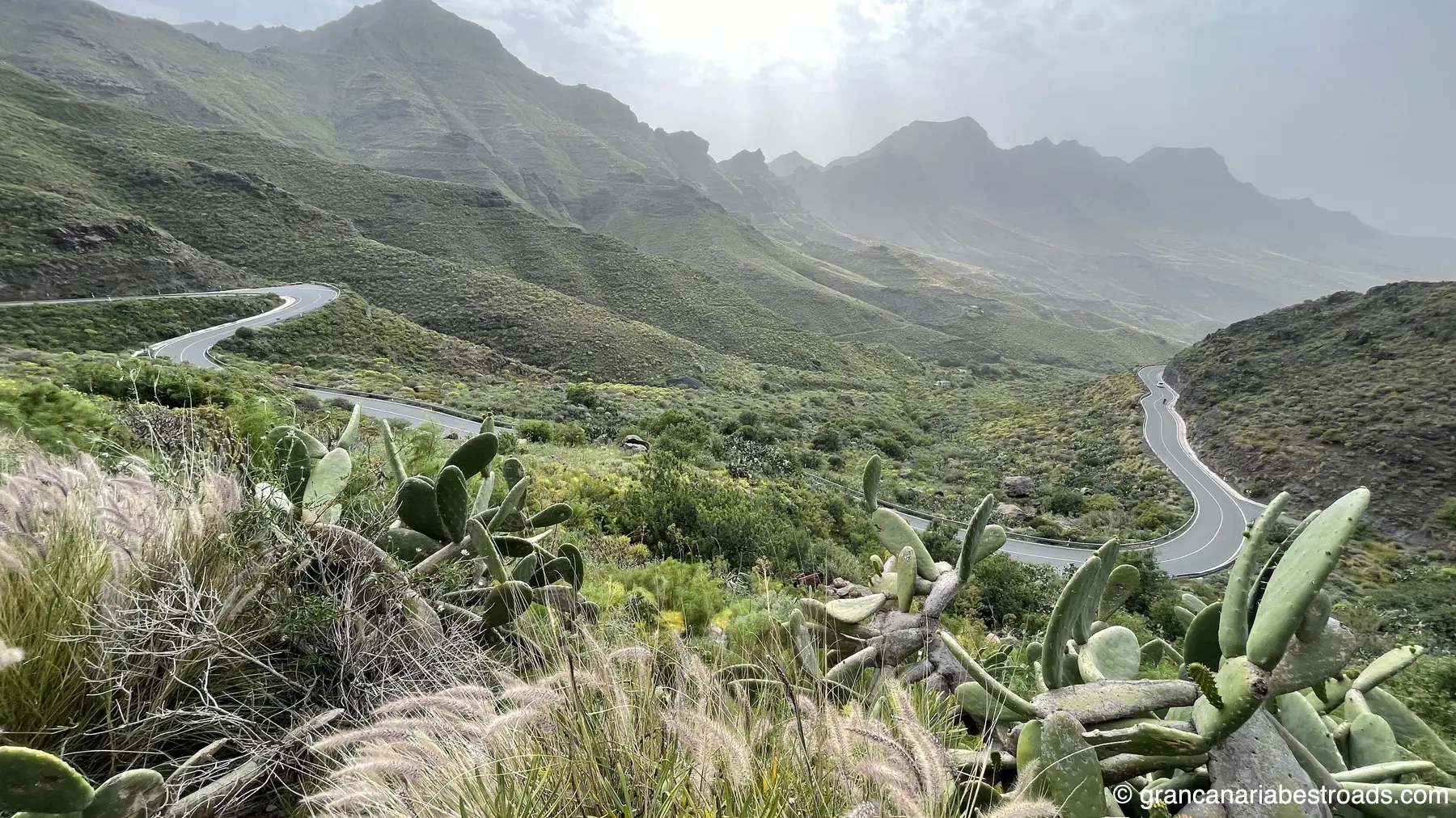 GC-200: Vegetation and switchbacks on the climb from La Aldea