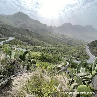 GC-200: Vegetation and switchbacks on the climb from La Aldea