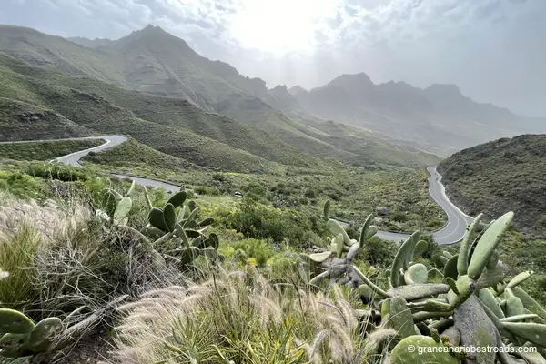 GC-200: Vegetation and switchbacks on the climb from La Aldea