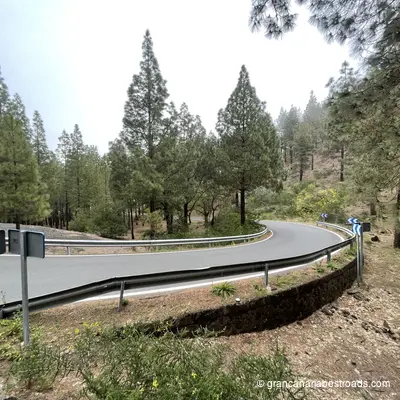 GC 21: a hairpin turn in the middle of the forest, near the Galdar Astronomical Observatory