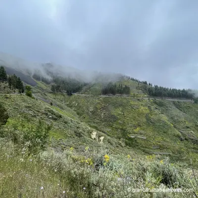 GC-21: A lava flow, as the vegetation transitions from shrubs to trees