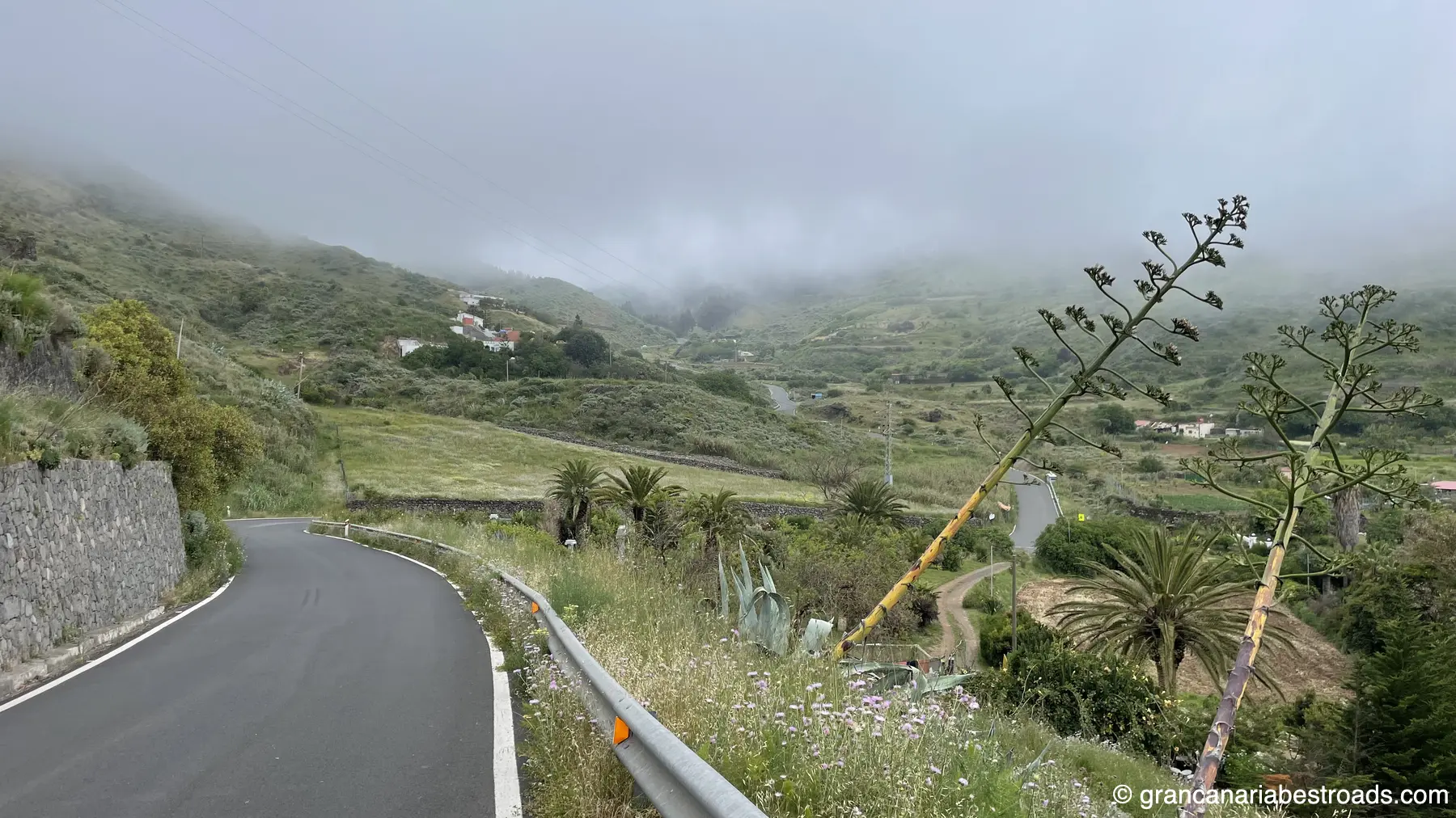 GC-220: A glimpse of vegetation and winding roads before entering the forest