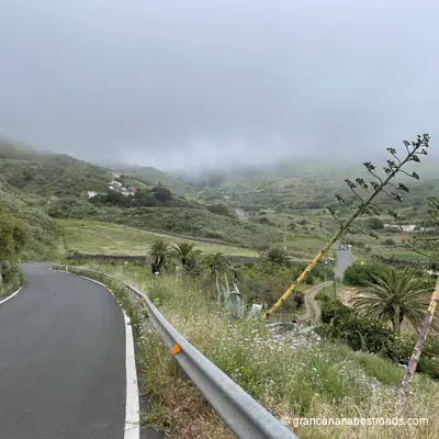 GC-220: A glimpse of vegetation and winding roads before entering the forest