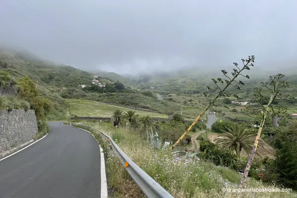 GC-220: A glimpse of vegetation and winding roads before entering the forest