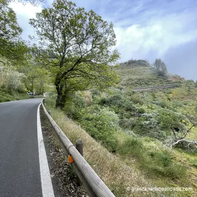 GC 230: a view of the road and the vegetation