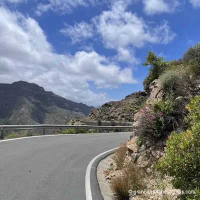 GC 60: close-up of curves and vegetation in the northernmost section of the road