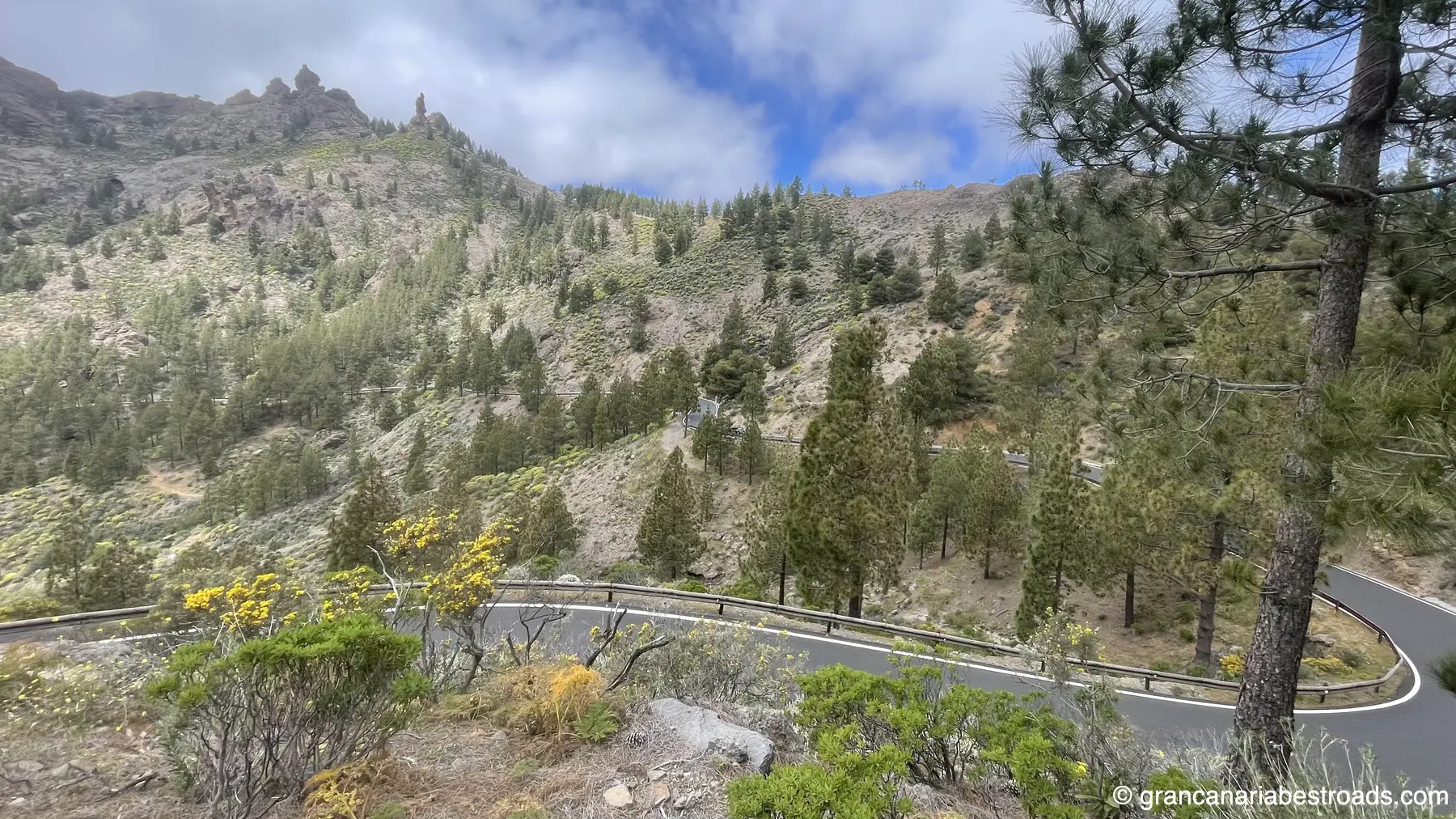 GC 600: a series of curves and hairpin turns winding through coniferous trees