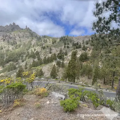 GC 600: a series of curves and hairpin turns winding through coniferous trees