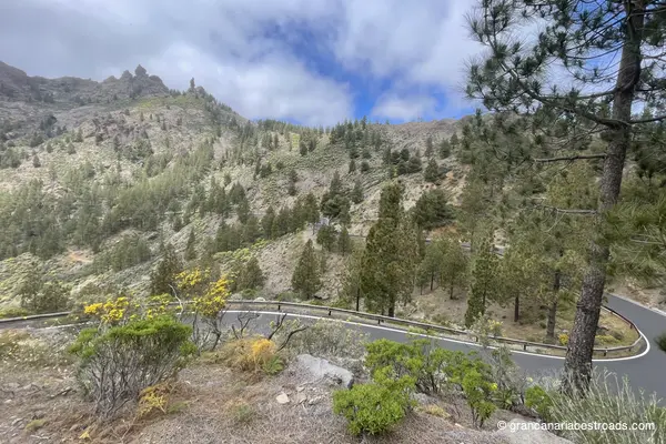 GC 600: a series of curves and hairpin turns winding through coniferous trees