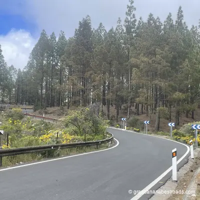 GC 600: How the vegetation changes rapidly just a couple of turns away