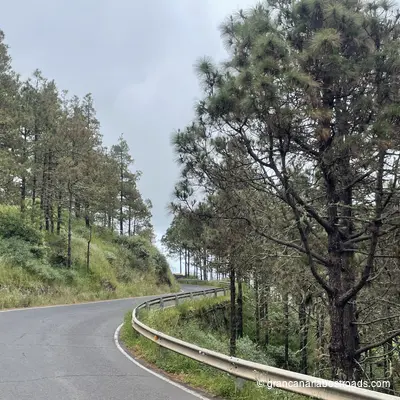 GC-70: A series of curves through the coniferous forest